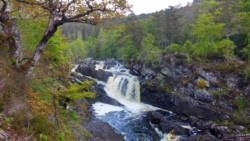 Rogie Falls near Contin