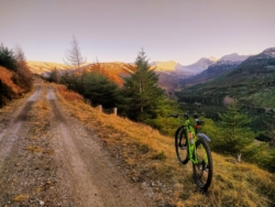 Lots of MTB routes in Inverlael forest