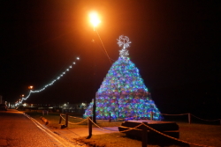 Ullapools famous creel Christmas tree