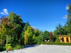 Part of the Forest Way garden and summerhouse