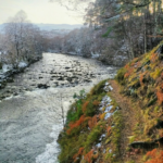 Alongside the River Broom