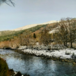 Looking across the River Broom towards Braemore Wood