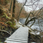 One of a few bridges on the route